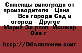 Саженцы винограда от производителя › Цена ­ 800 - Все города Сад и огород » Другое   . Марий Эл респ.,Йошкар-Ола г.